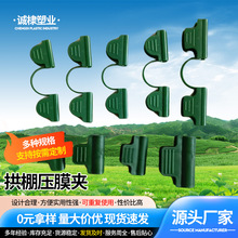 ��Ĥ�Aֲ�����ټ������������С���������Ĥ�A���ҿ��������Gֲ