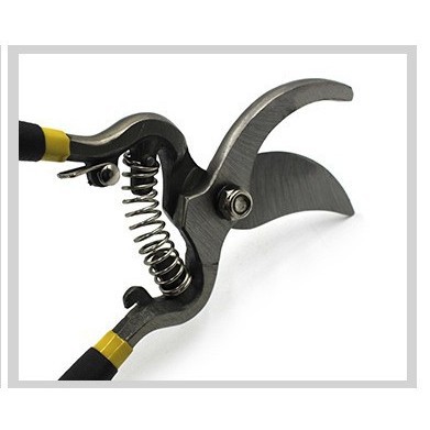 Tijeras de jardinería de 8 pulgadas para podar ramas de frutas, tijeras para podar flores, herramientas para podar ramas, tijeras para podar árboles frutales.