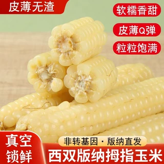 云南西双版纳拇指小玉米傣家新鲜真空包装香糯手指粗粮早餐糯香