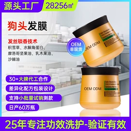 洗发水;头皮护理用品;发膜、倒膜
