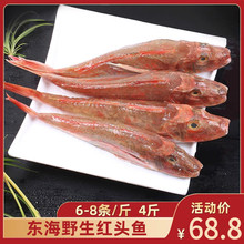 ʮ�����ɽ�t�����~���r���r�t�~�����~�t�^�~�o��������r����