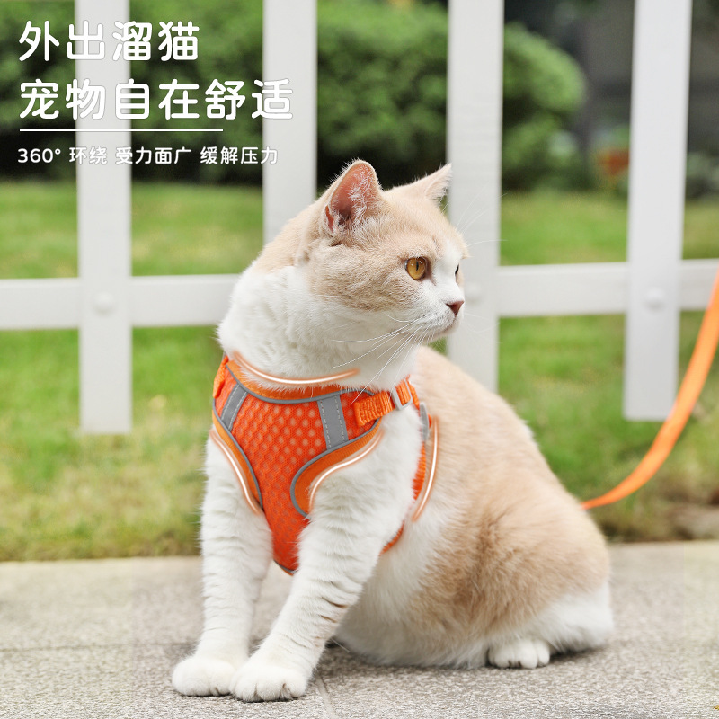 Mascota gato perro Correa chaleco estilo transpirable correa de pecho gato cuerda gato cadena anti-rotura