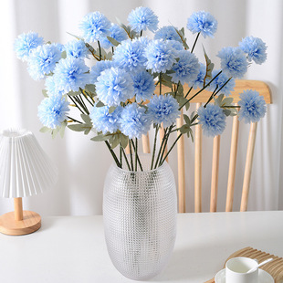 ���^��շ��滨�ٻ��Ҿӻ�c�zӰ���߶Y���b�����ƹ�Ҿվ껨���l