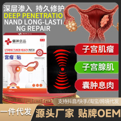 薬神京品宮瘤清 子宮筋腫 卵巣嚢胞 痛みのある月経 非漢方薬による治療 子宮内膜肥厚 液体蓄積