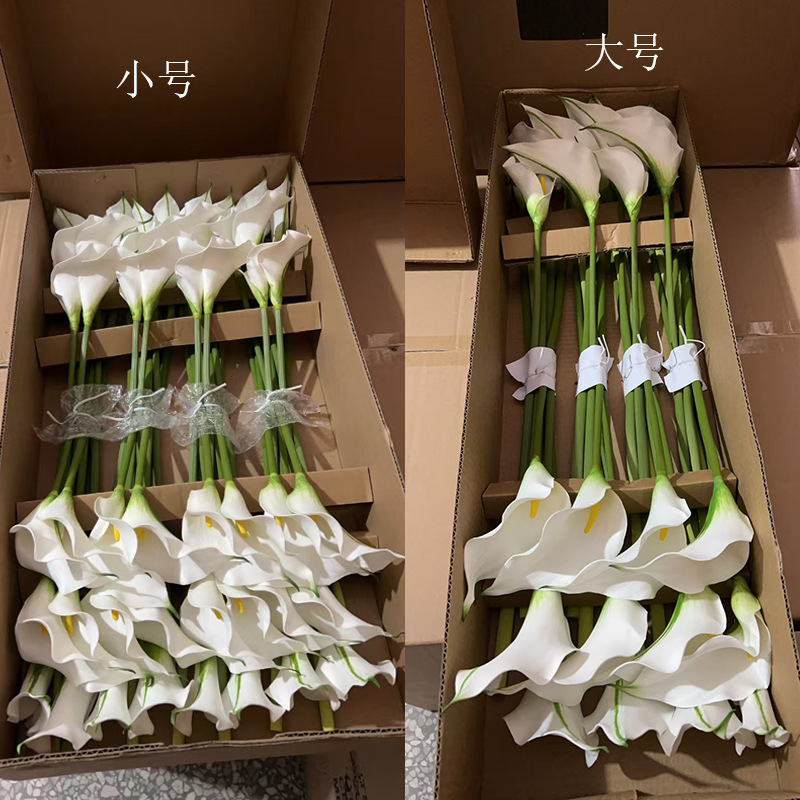 微信图片_20241212152253-.jpg