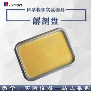 27003 Factory Direct Junior High School and High School Biological Experimental Equipment 250mm * 140mm Anatomical Disc Wax Disc