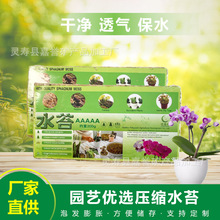 压缩干水苔蝴蝶兰石斛动物植料垫底微景观泥炭藓海花草干苔藓青苔