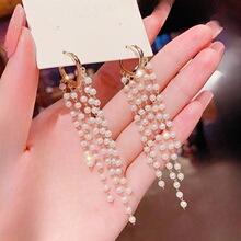 2025�������K���ەr���L���@�ݏ͹Ŷ��h�n���W�t�L�ٴ�Զ��