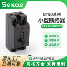 NT50zľ⚤Сֱt С͔·ɫl_P30A2P_