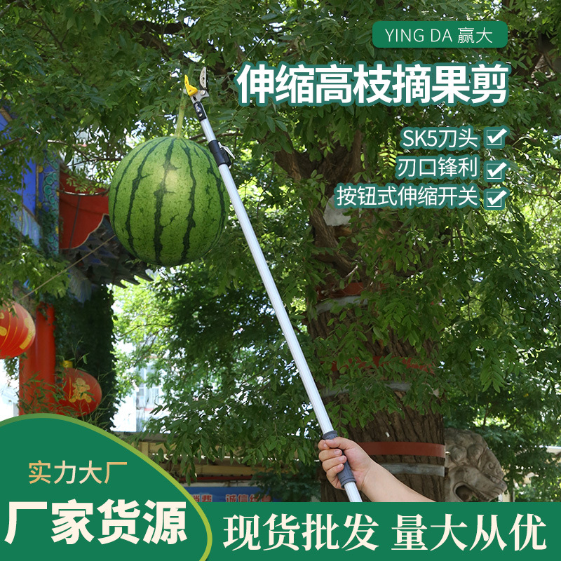 赢大伸缩高枝摘果剪 加长高空剪摘果器采果剪 伸缩高枝剪摘果器