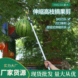 赢大伸缩高枝摘果剪 加长高空剪摘果器采果剪 伸缩高枝剪摘果器