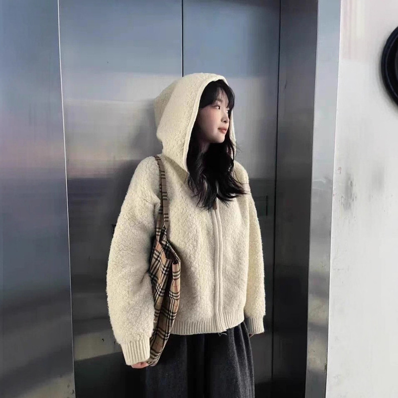 2025 New Lazy Style Lamb Wool Hooded Zipper Knitted Tops Women's Autumn Niche Loose Top