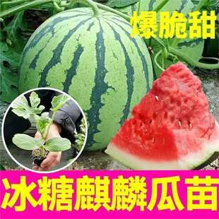 ��������8424�������������������������������̨�����߲�����