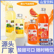 ���ӹ���֭��֭�p��֭����ȥ������e�ە����b��֭�N�ƶ��Ƽt��֭