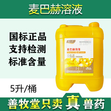 ëFҺȩ@Һͺ5b󃞻 l