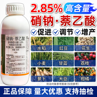 ���c������������������N�������c�{���仨���������ٻ��������