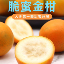 ���V���ڰ�&middot;���۽�̡�����֭ �Fժ�F�l5�����rˮ��һ�����l