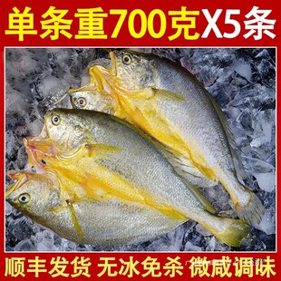 ���������S�~���a�����_�����S�~���Ó֬�S���~ˮ�a�S���~�����l