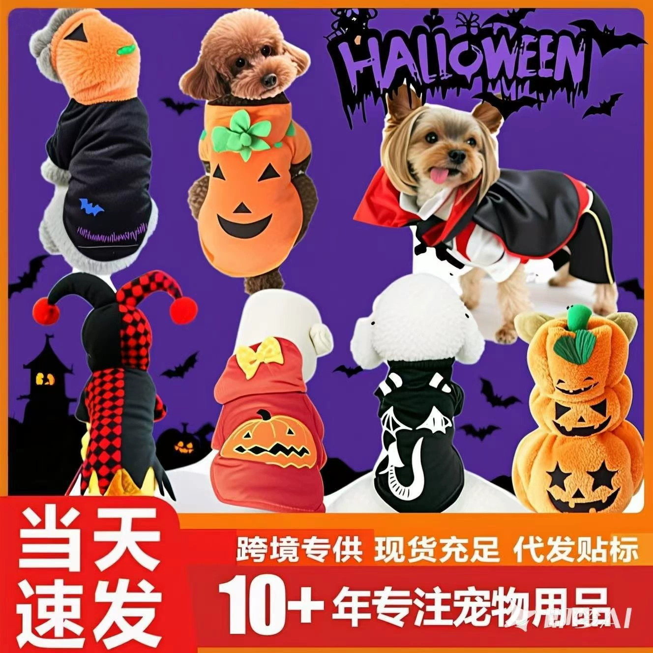 Одежда для домашних животных на заказ: милые наряды для собак пород тедди, корги, французских бульдогов, а также для кошек на весну, осень и Хэллоуин (трансграничная торговля)