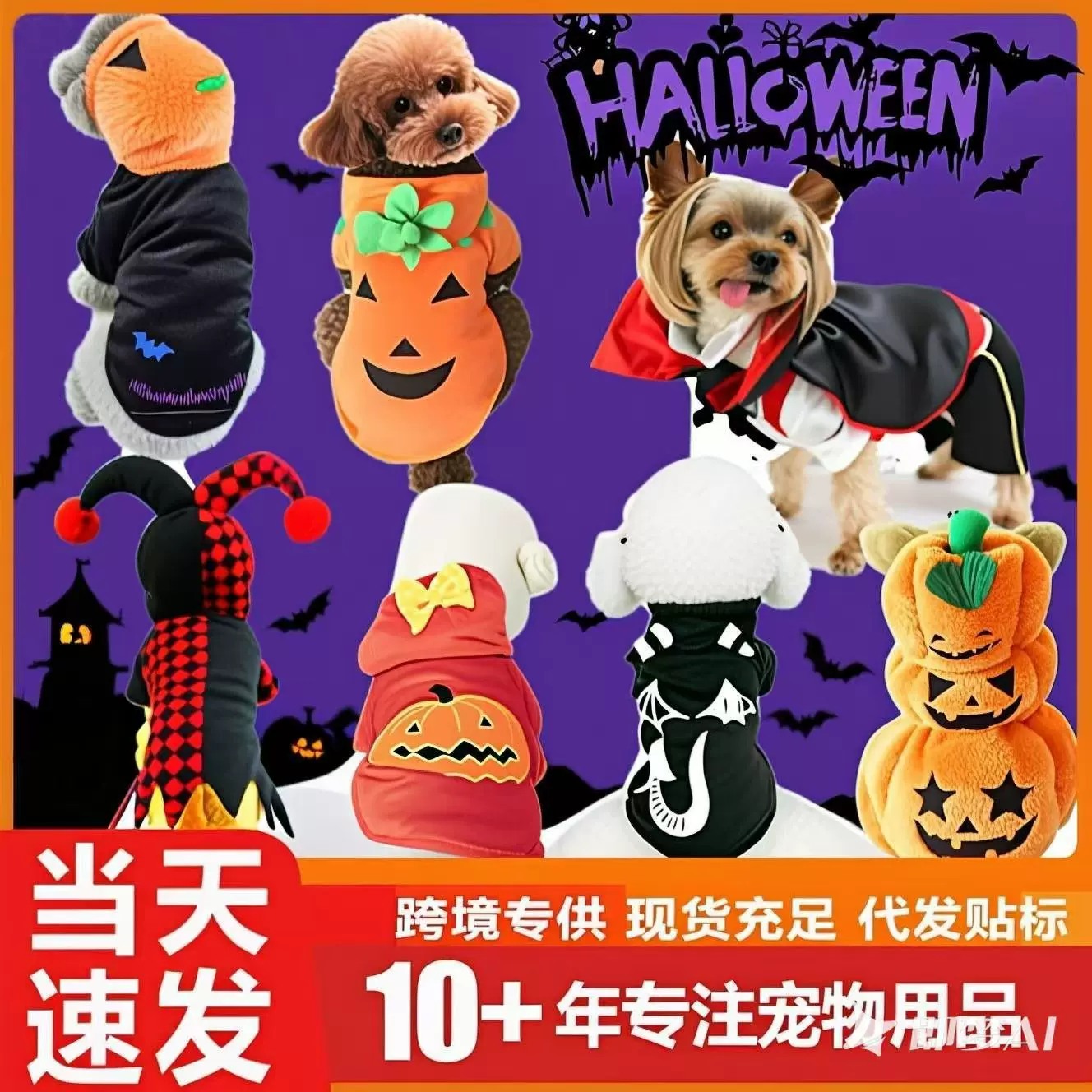 宠物衣服定制可爱泰迪柯基小型犬法斗春秋猫咪跨境万圣节狗狗衣服