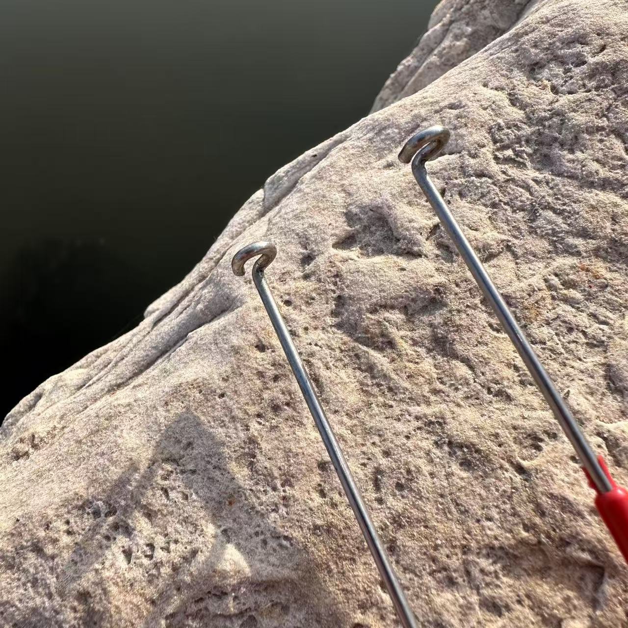 微信图片_20250216151642