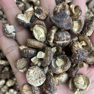 ���С���㹽С�㹽�ľС�㹽�Ҝ����uС�㹽�خa�����Ģ����؛