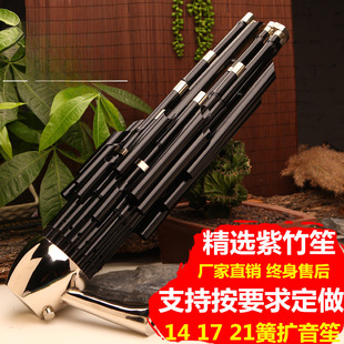 Zizhu Sheng Musical Instrument Professional Beginner 14-String Square Sheng 17-String 21-String Round Sheng Lowered Tone Amplified Sheng