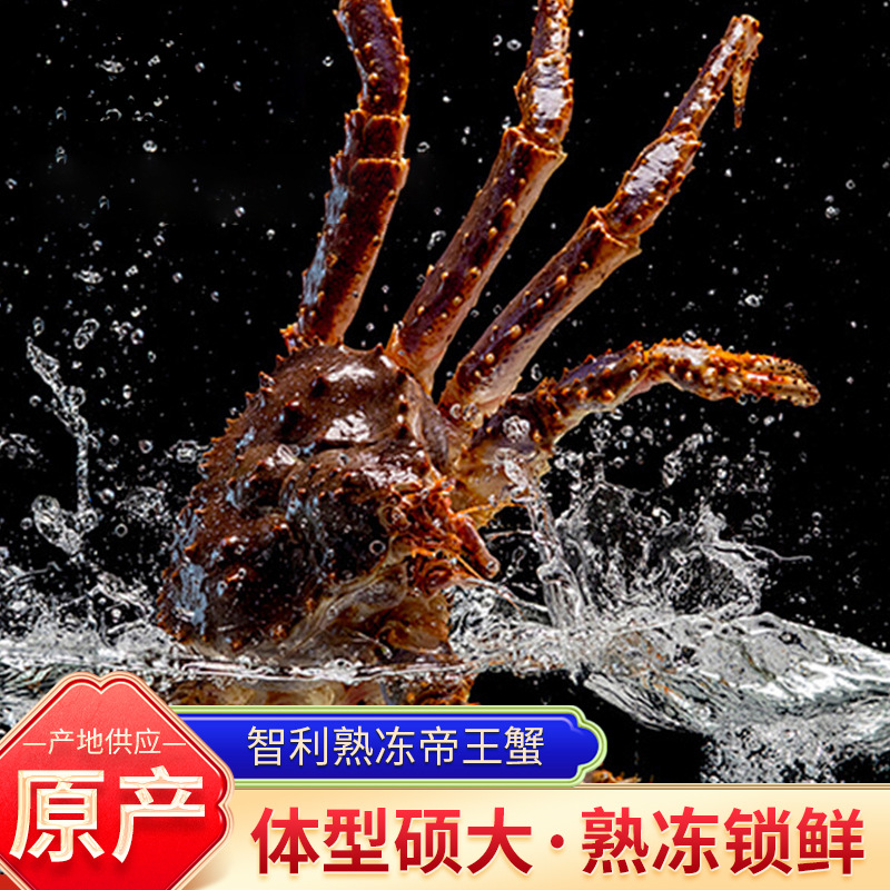 智利熟冻帝王蟹 现货帝王蟹熟冻海鲜水产特大螃蟹皇帝蟹礼盒批发
