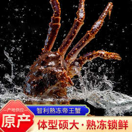 智利熟冻帝王蟹 现货帝王蟹熟冻海鲜水产特大螃蟹皇帝蟹礼盒批发