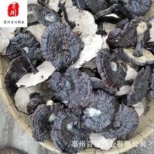 【批发】灵芝批发黑灵芝野外灵芝金边灵芝灵芝孢子粉 15天无条件