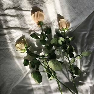 &mdash;&mdash;&mdash;&mdash;&mdash;&mdash;&mdash;&mdash;�����ġ�M~���p����15L�p��� 020607