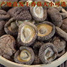 泌阳干香菇剪脚产地直发食用菌干货冬菇可以产地直发农产品批发