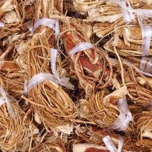 ��ָë�����l�Ҝ��� ��ָţ�̏V���a�ع��� ���Ѹ�؛��ָë�Ҹ�