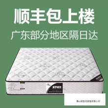 香港海马出租房家用垫子静音专用20CM软床垫椰棕弹簧乳胶厚床垫
