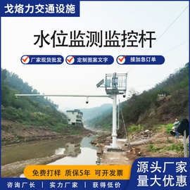 立杆水位检测湖边公园户外八角杆L型悬臂式检修台监控器摄像头