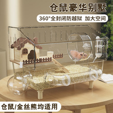 �}��\�ӳ�����A�e����z������͸��������B���gС�͌������