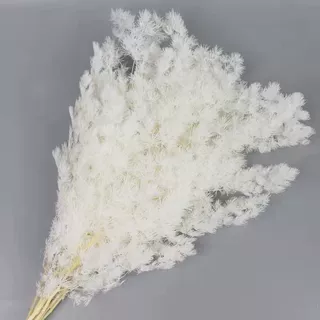 永生干花蓬莱松保鲜花diy花束手工材料礼物花材婚庆家居插花装饰