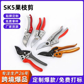 断线钳;管子钳;锤子