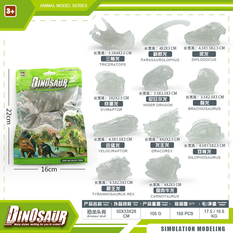 BL - 1260d cráneo de dinosaurio 105g