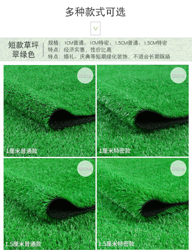 阿里地毯草详情 (5)