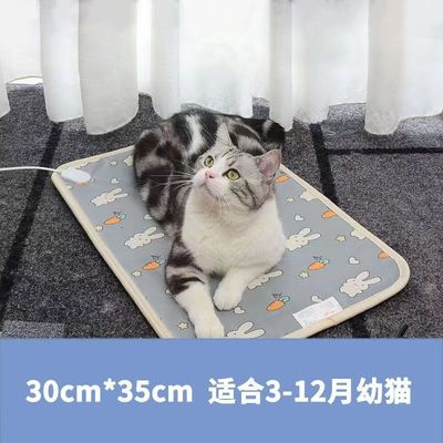 宠物电热垫取暖电热毯猫咪耐咬防抓防漏电小型智能恒温加热电热板|ru