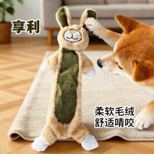 �羳������ҧ������˽␞ĥ����ҧ������ë�q�д���Ȯ������