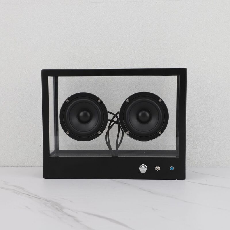 Nordic Retro Bluetooth Transparent Subwoofer Audio Model Room Wine Cabinet Living Room Desktop Home Accessories Real Machine