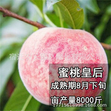 ��Ʒ�N�޽��ձ����������Ҙ���10������Ѯ��������x���S����
