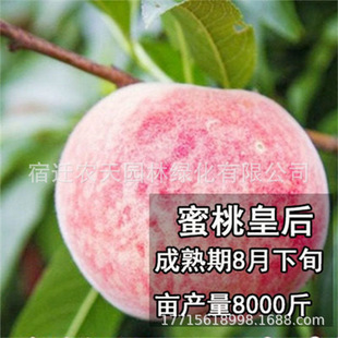 ��Ʒ�N�޽��ձ����������Ҙ���10������Ѯ��������x���S����