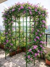 �������ټ������S�϶��ǼܗUͥԺ�Nֲ�¼��N��֧�ΗUֲ�����֧��