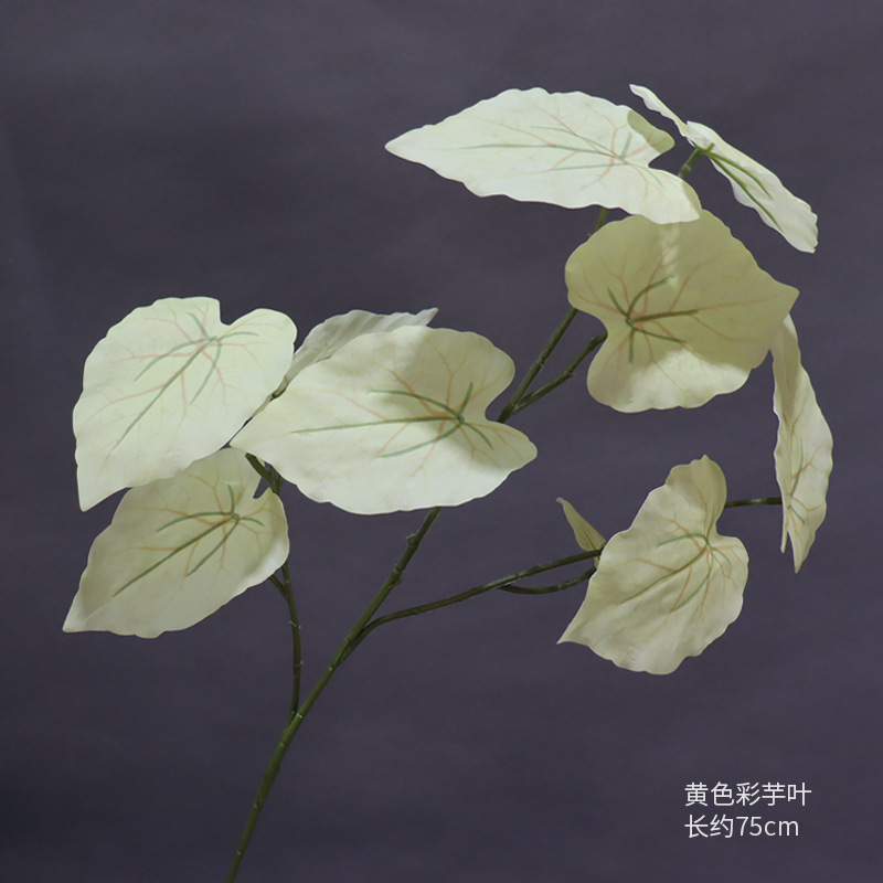 Una hoja de taro de color amarillo