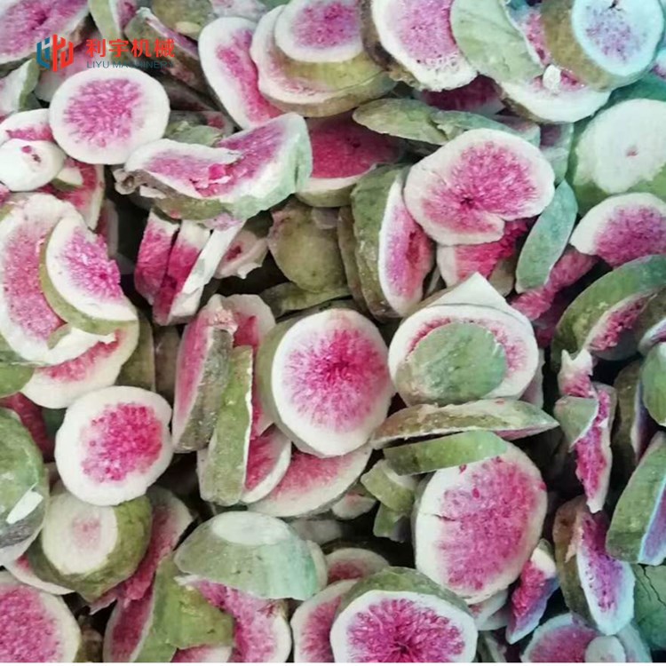 海参鲍鱼低温干燥机 榴莲火龙果草莓蓝莓冻干机 宠物零食冻干设备
