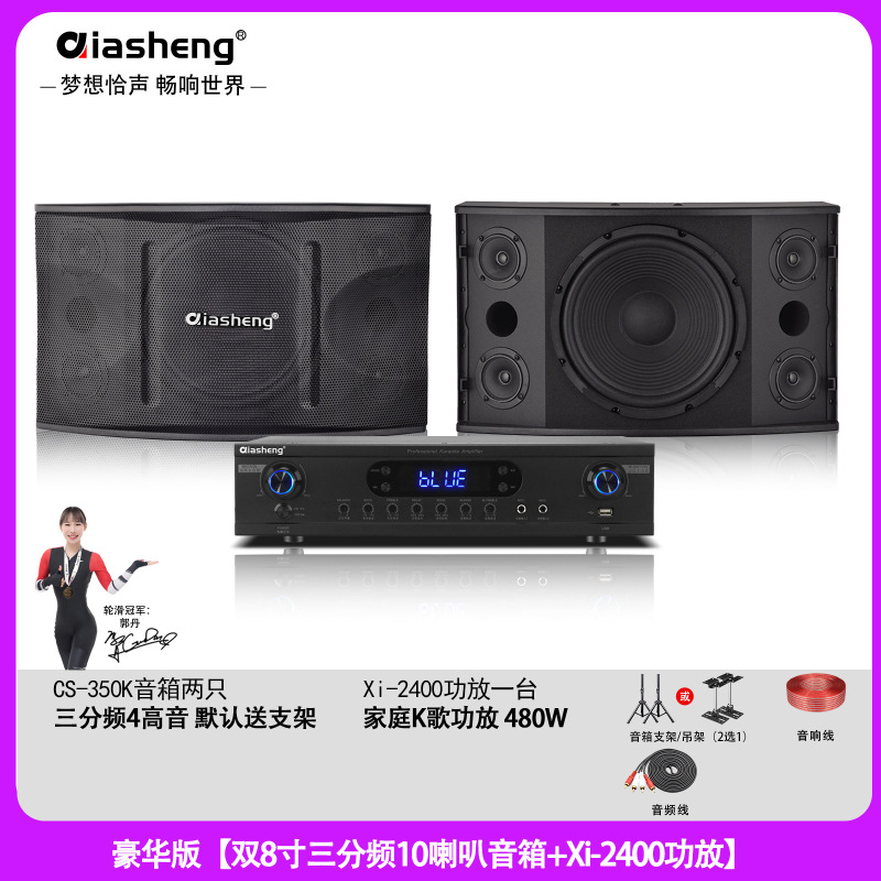 QIASHENG 家庭KTV音响套装卡拉OK点歌机专业音箱全套K歌影院设备|undefined