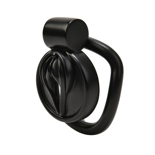 Men's ABS bird cage chastity lock false mother lock SM ring dog slave binding training adult alternative sex toys
